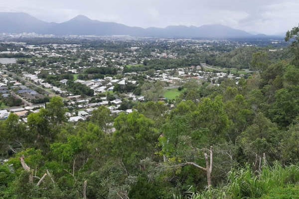 Cairns tree lopping service showing a completed view clearing job